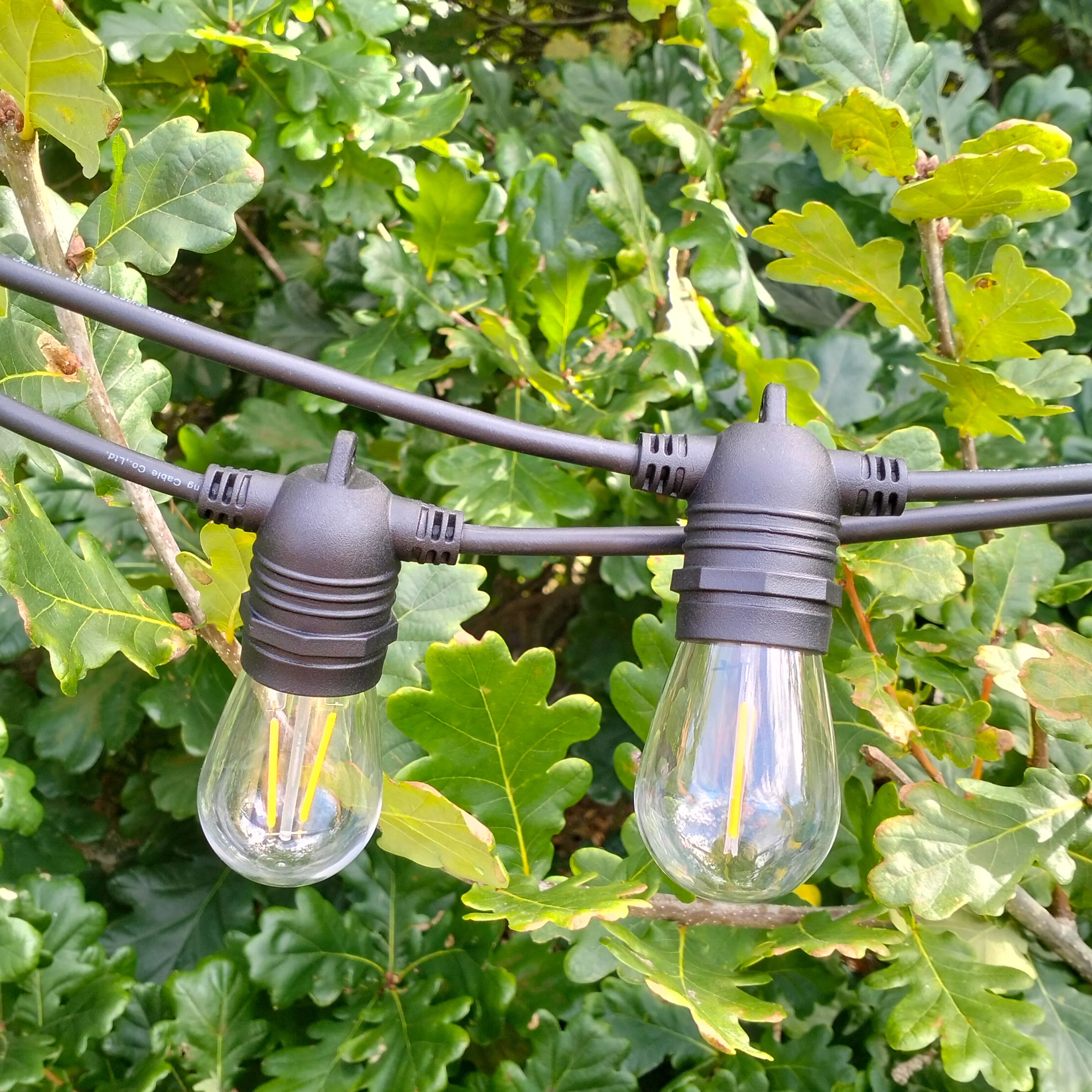 Solar Lights are On Sale!
